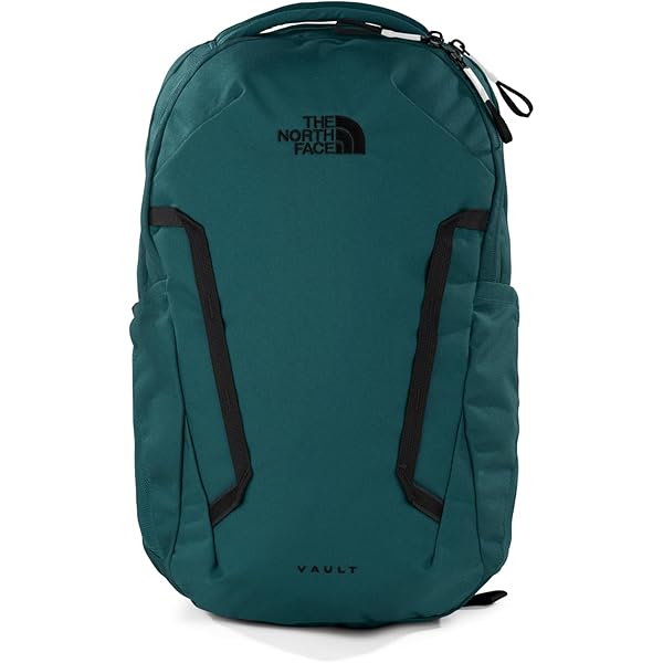 Amazon.com: THE NORTH FACE Vault Everyday Laptop Backpack